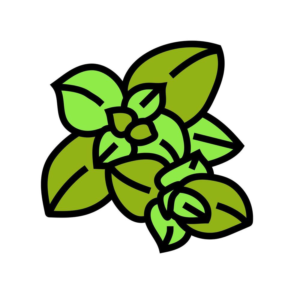 oregano food herb color icon vector illustration