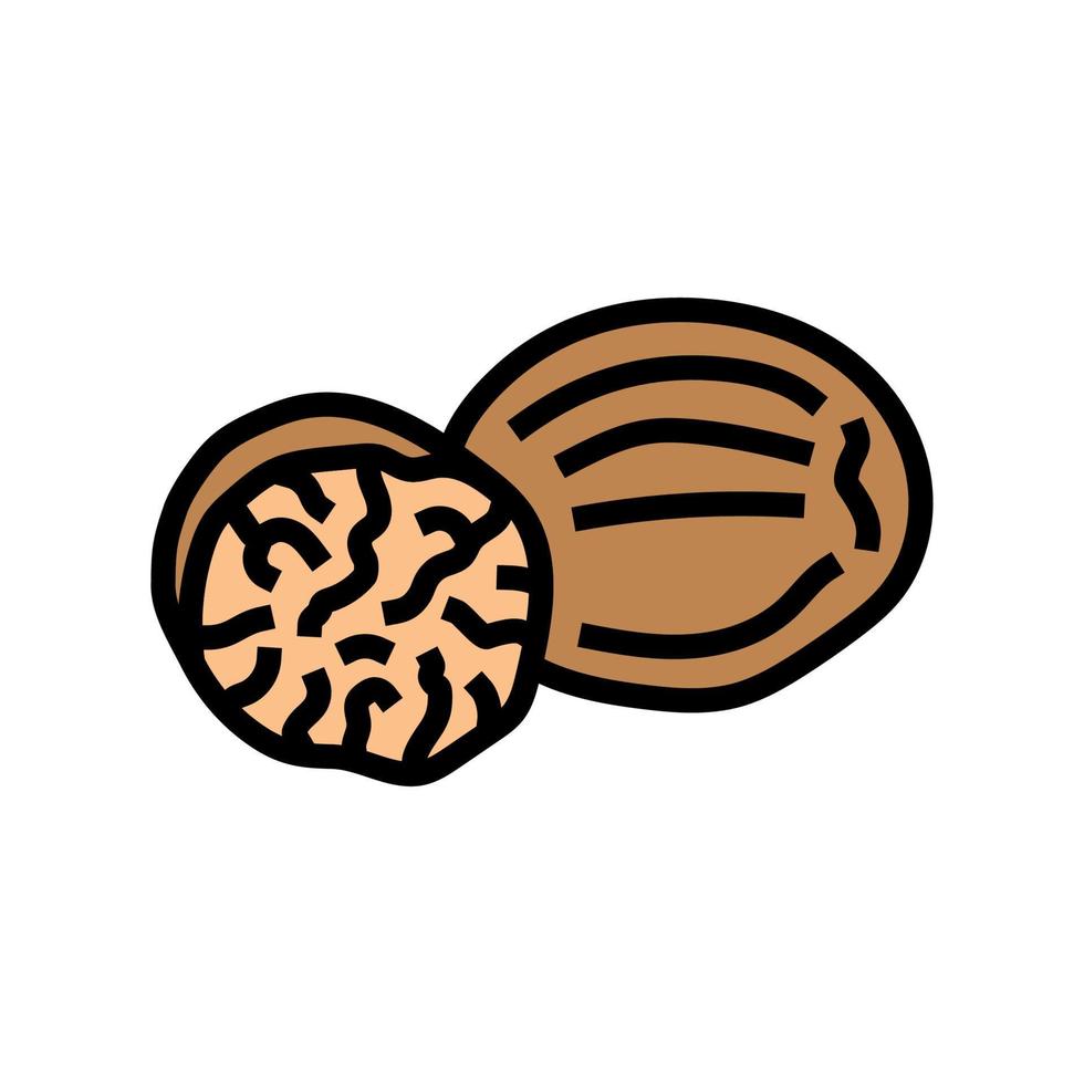 nutmeg food herb color icon vector illustration