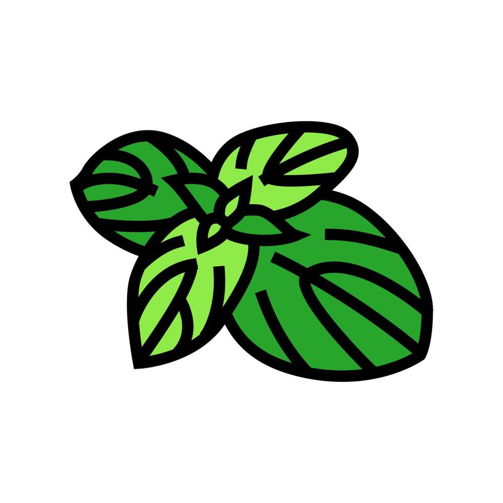 basil food herb color icon vector illustration
