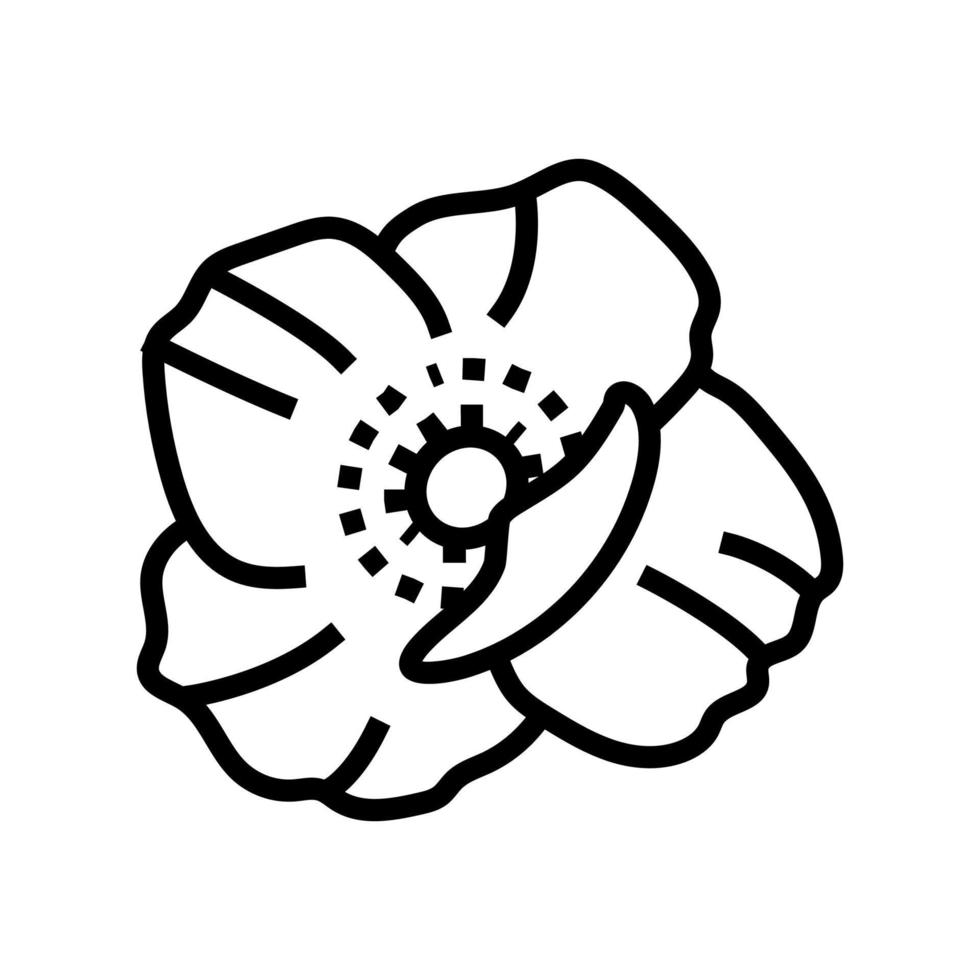 poppy flower spring line icon vector illustration