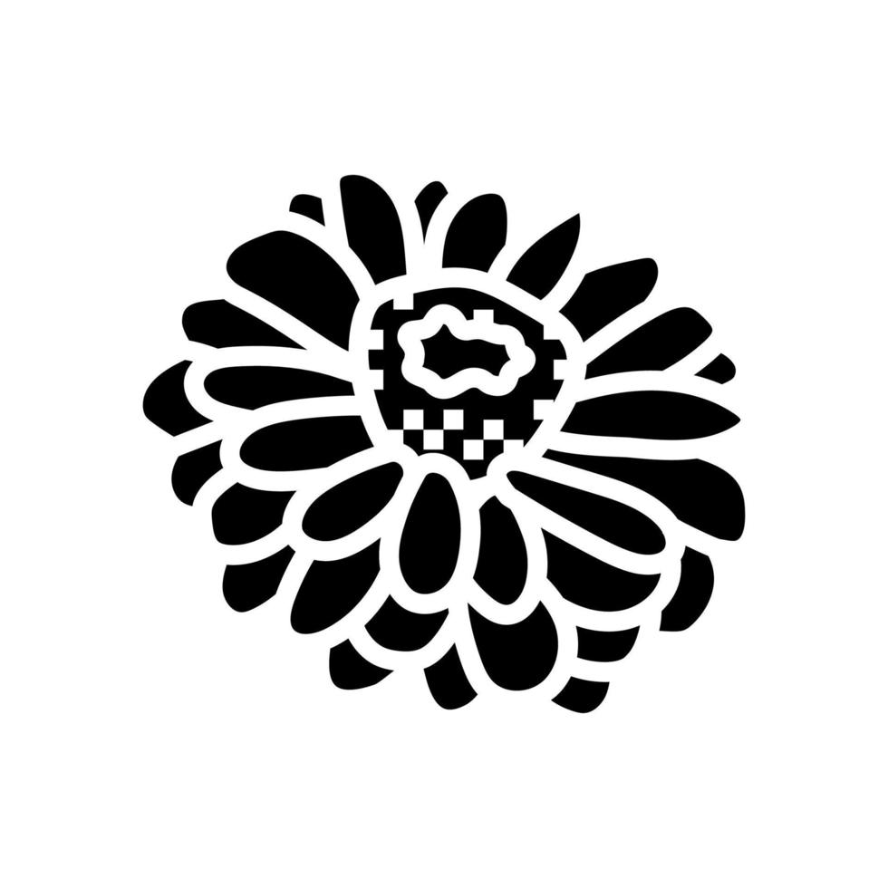 zinnia florecer primavera glifo icono vector ilustración