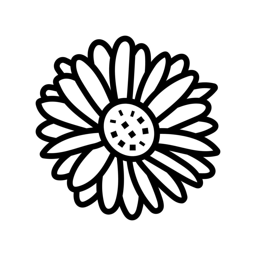 daisy blossom spring line icon vector illustration