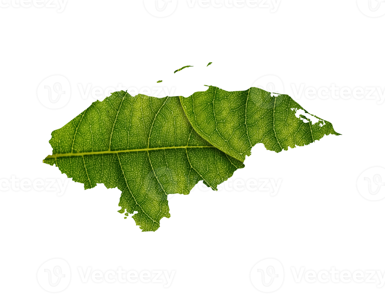 Honduras map made of green leaves ecology concept png
