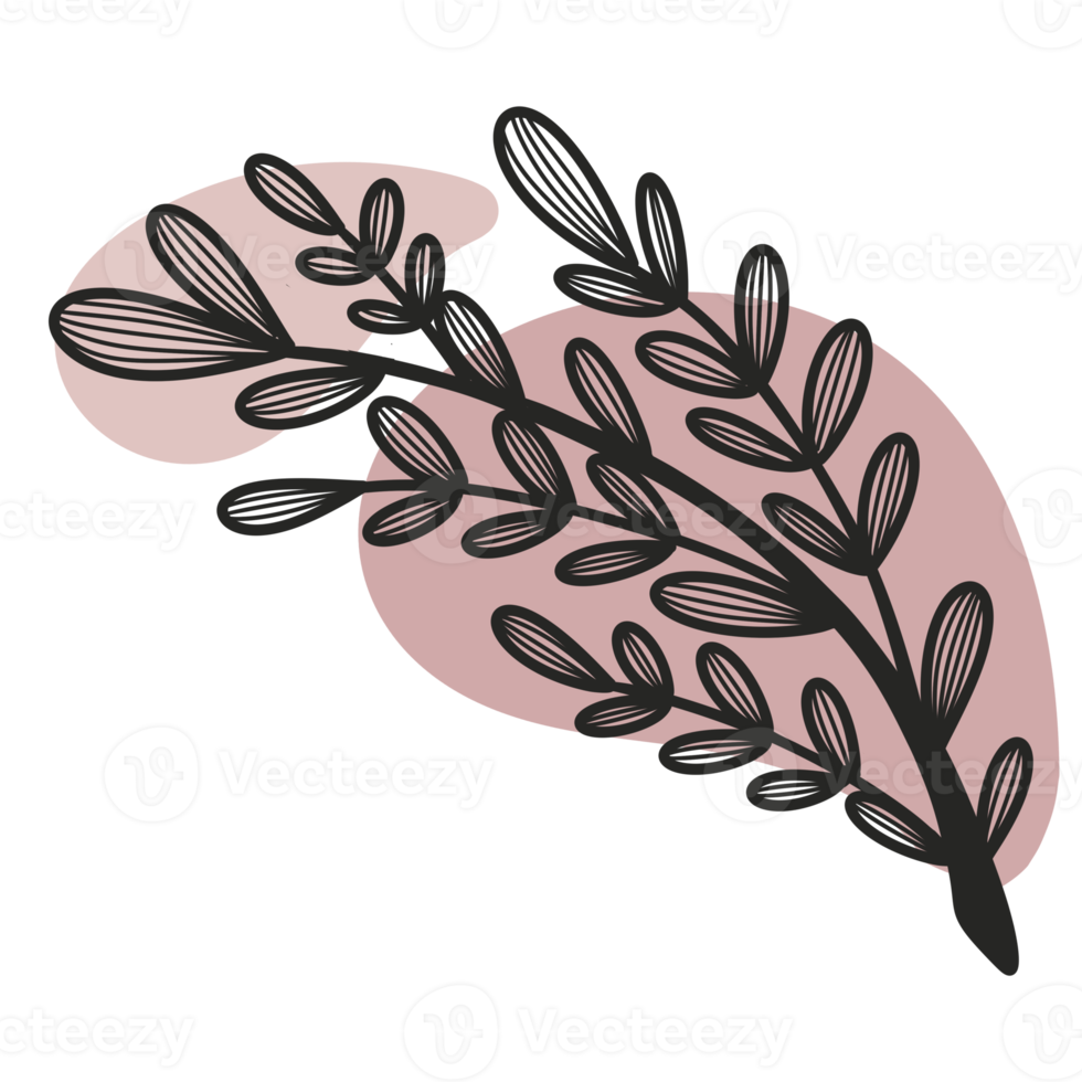 Line Art Leaf png