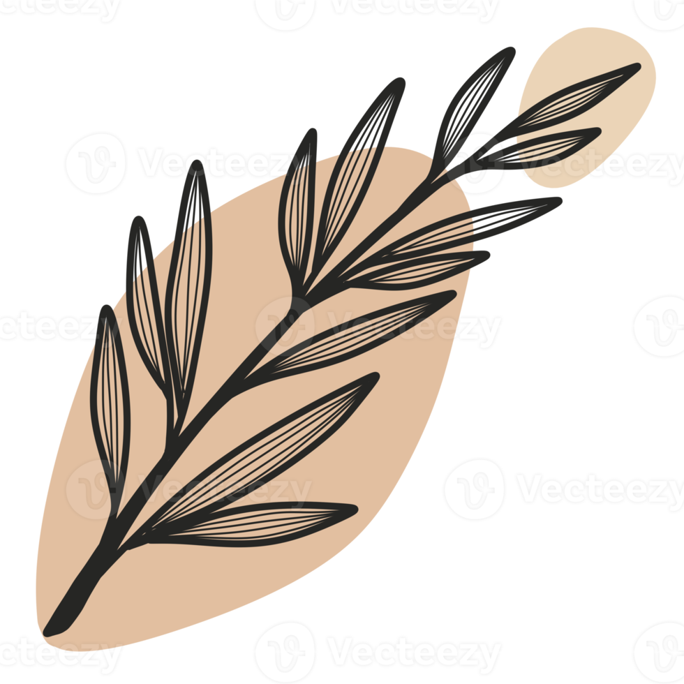 Line Art Leaf png