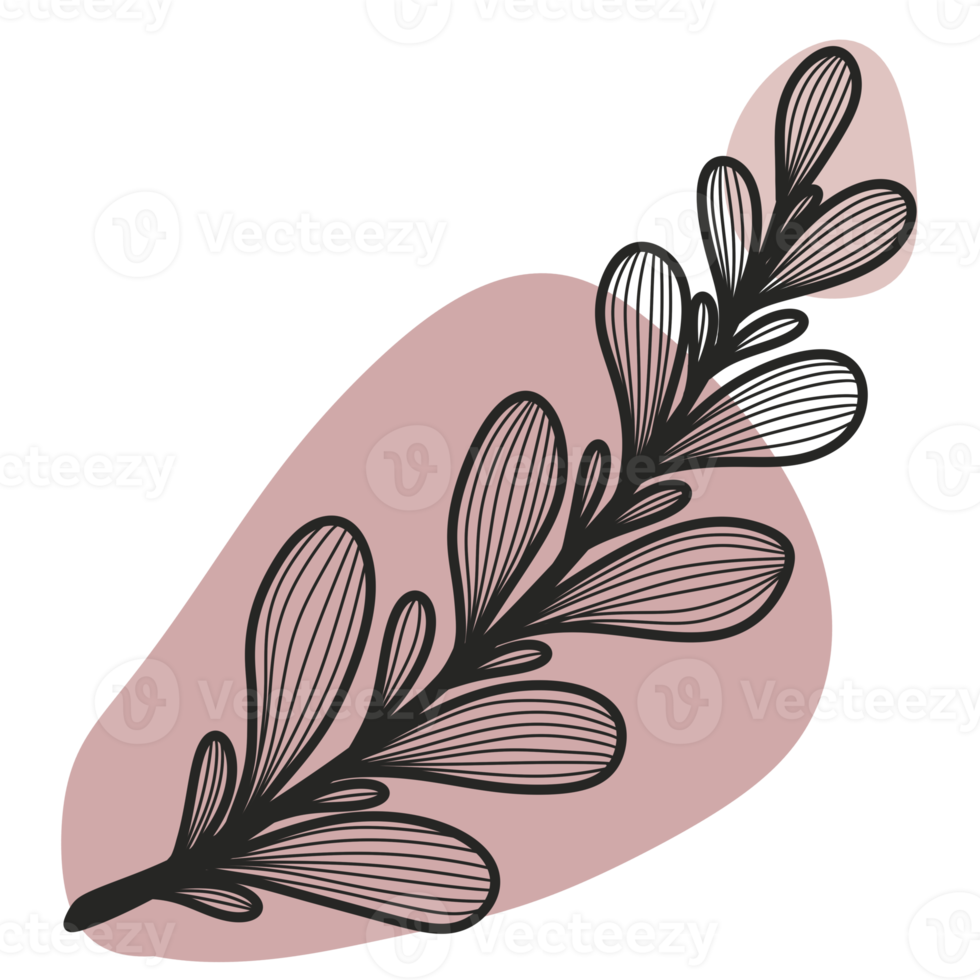 Line Art Leaf png