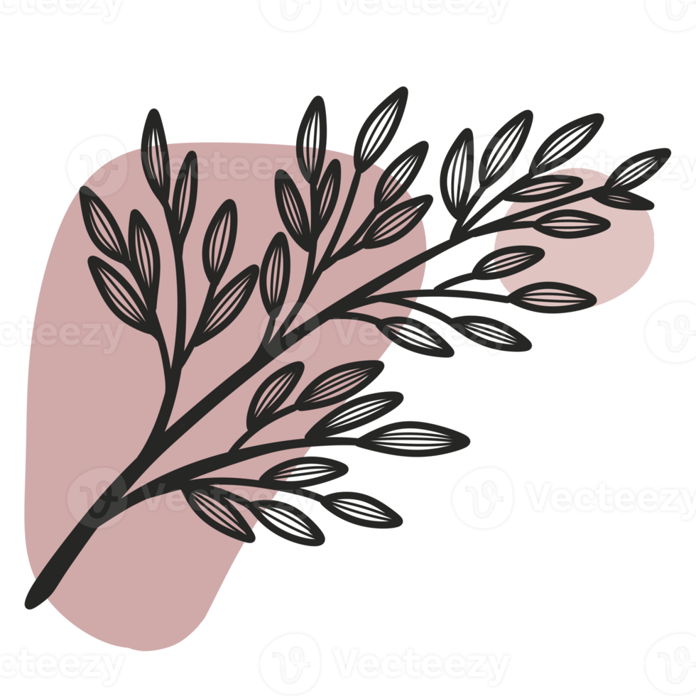 Line Art Leaf png