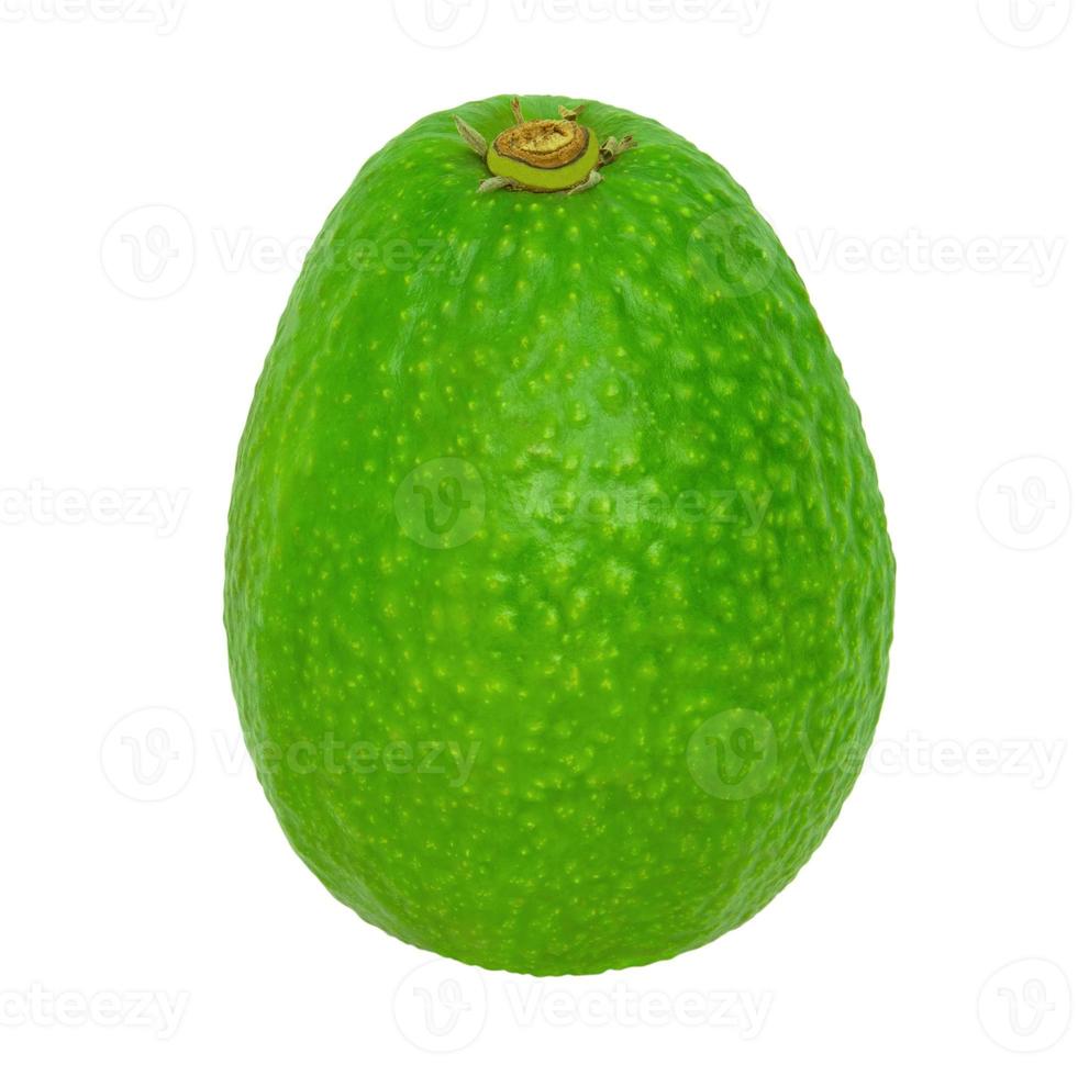 Green avocado isolated on a white background. Stock photography photo