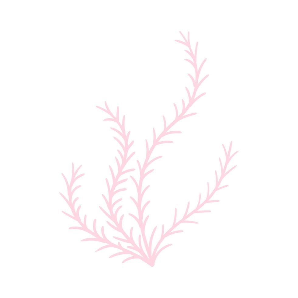 seaweed flat vector cartoon color illustration on white background