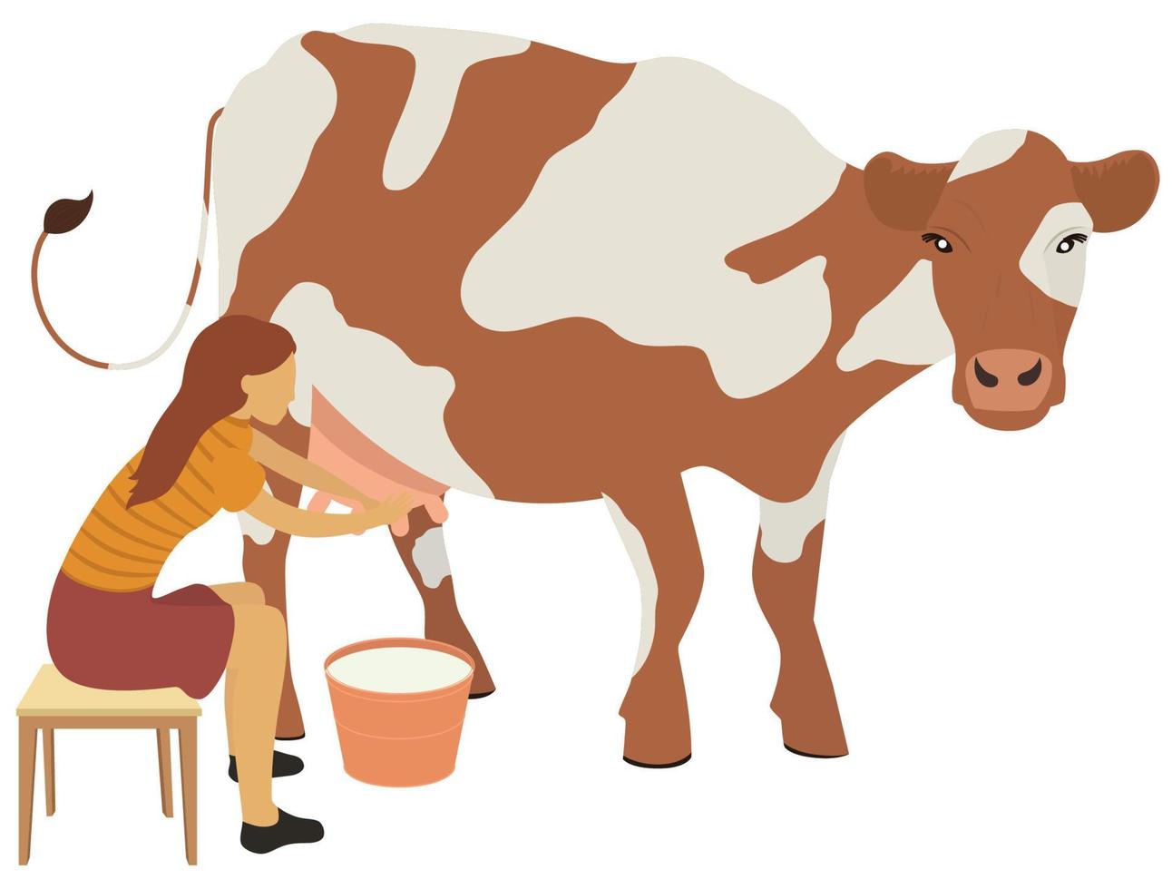 Woman milks a cow vector illustration