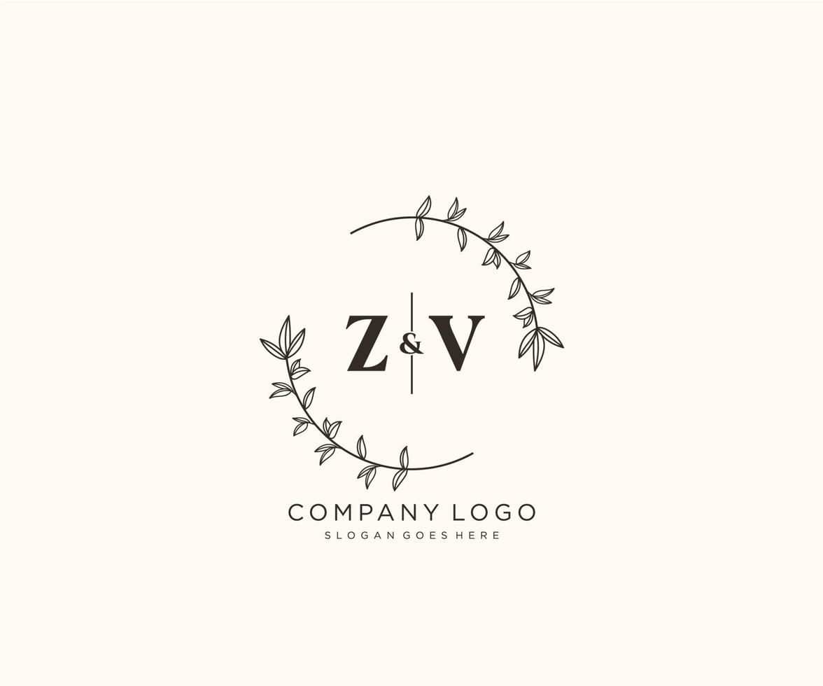 inicial zv letras hermosa floral femenino editable prefabricado monoline logo adecuado para spa salón piel pelo belleza boutique y cosmético compañía. vector