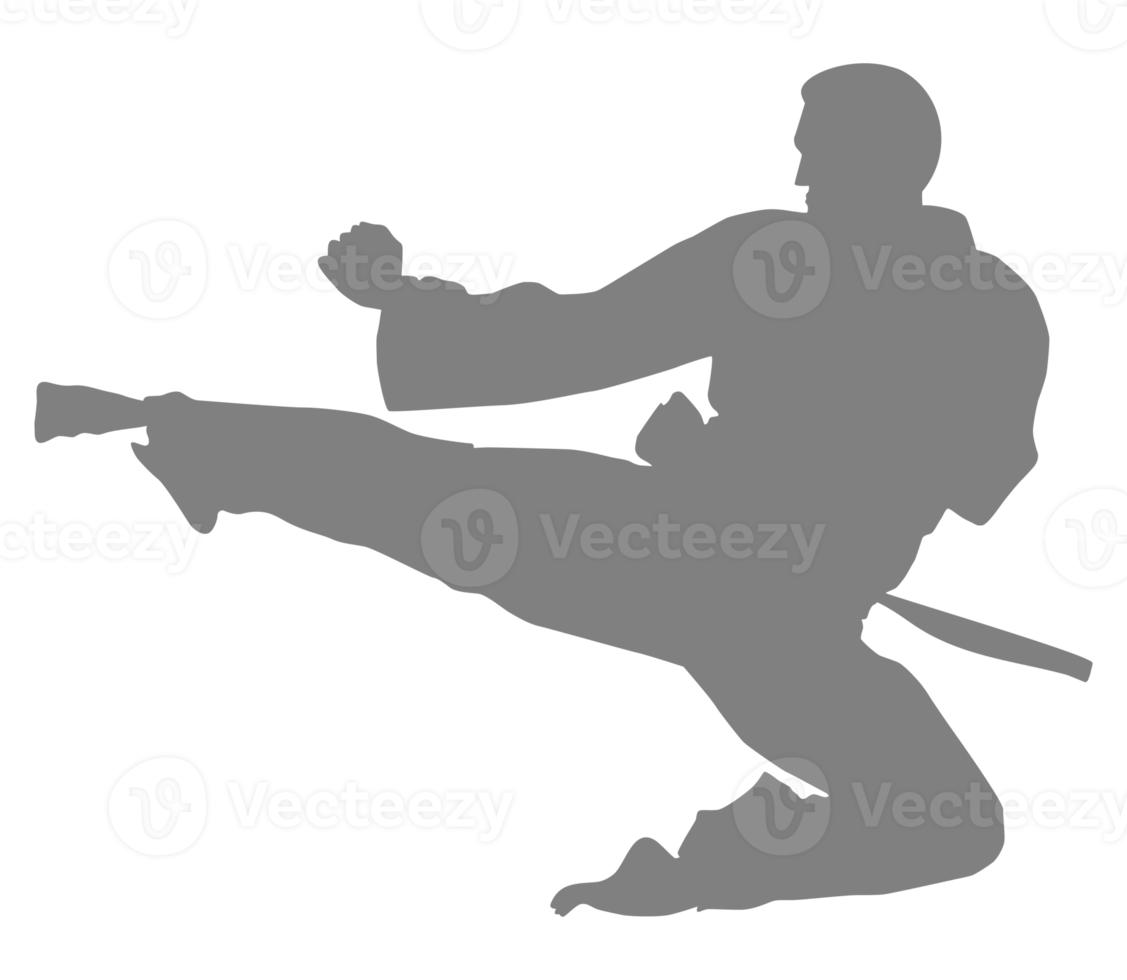 silhouet van krijgshaftig artiest trap, taekwondo, karate, pencak silat, kungfu, voor logo of grafisch ontwerp element. formaat PNG