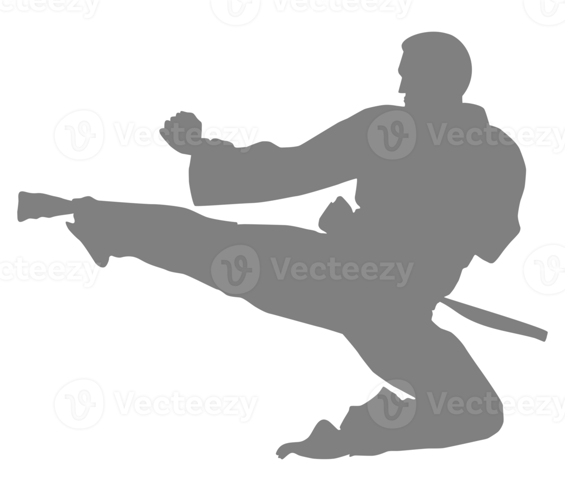 Silhouette of Martial Artist Kick, Taekwondo, Karate, Pencak Silat, Kungfu, for Logo or Graphic Design Element. Format PNG