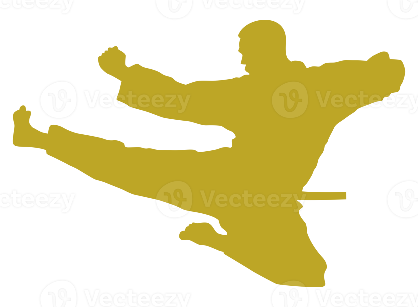 silhouette di marziale artista calcio, taekwondo, karatè, pencak sila, kungfu, per logo o grafico design elemento. formato png