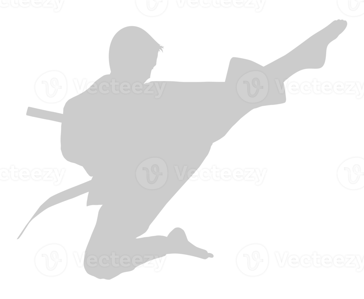 Silhouette of Martial Artist Kick, Taekwondo, Karate, Pencak Silat, Kungfu, for Logo or Graphic Design Element. Format PNG