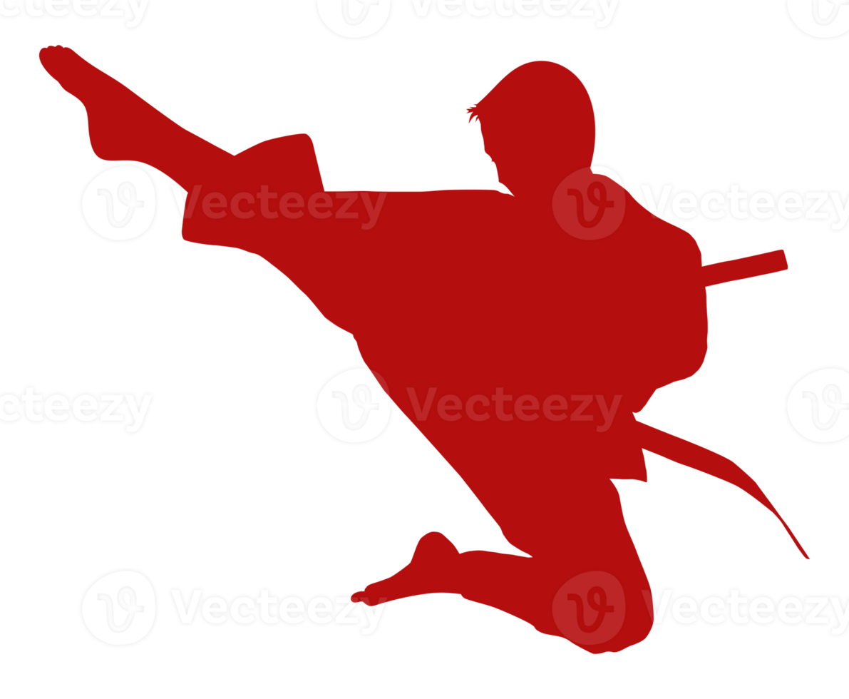 silueta de marcial artista patada, taekwondo, kárate, pencak silat, kung-fu, para logo o gráfico diseño elemento. formato png