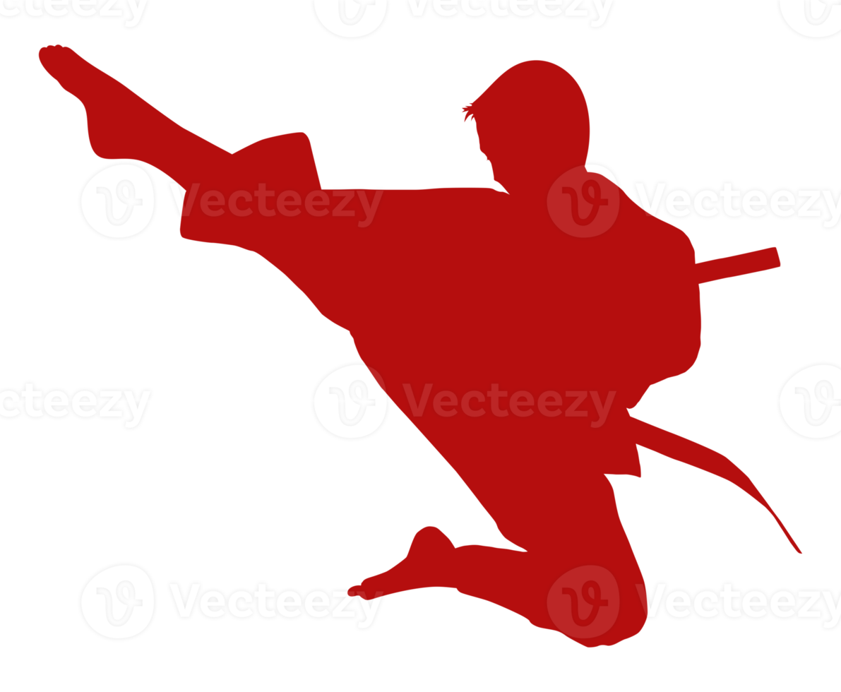 Silhouette of Martial Artist Kick, Taekwondo, Karate, Pencak Silat, Kungfu, for Logo or Graphic Design Element. Format PNG