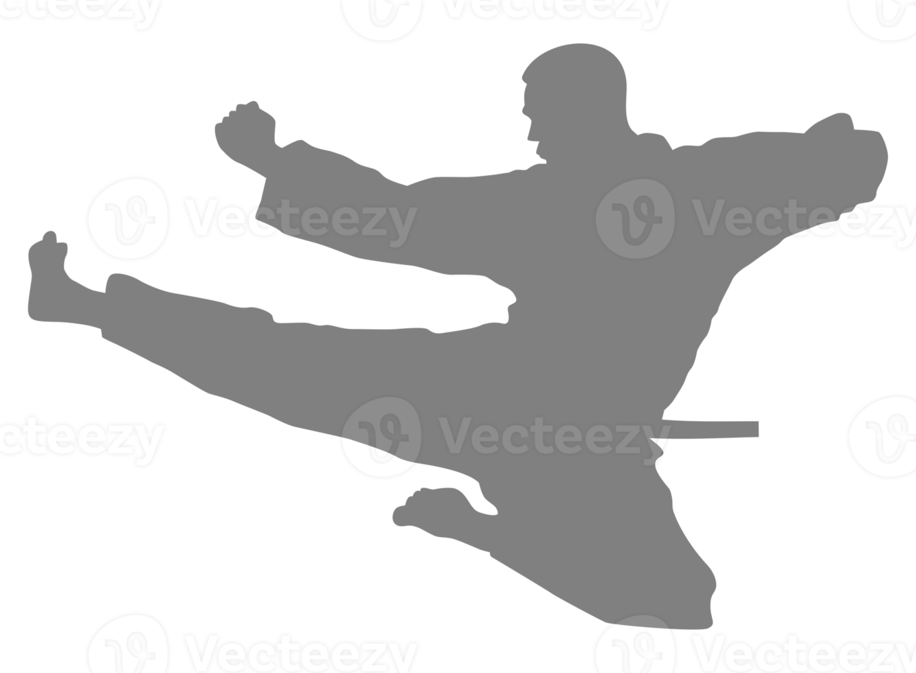 Silhouette of Martial Artist Kick, Taekwondo, Karate, Pencak Silat, Kungfu, for Logo or Graphic Design Element. Format PNG