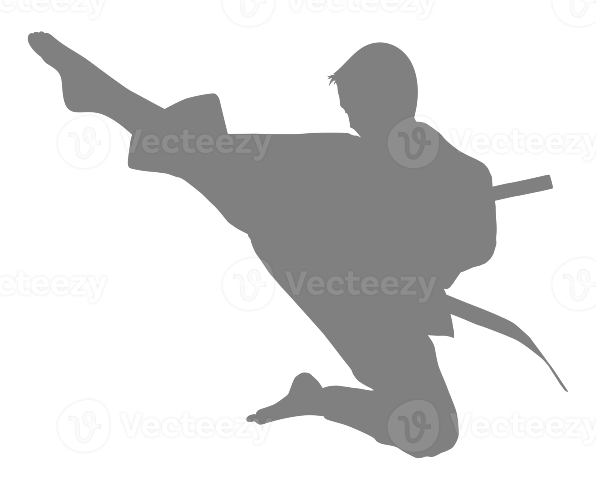 Silhouette of Martial Artist Kick, Taekwondo, Karate, Pencak Silat, Kungfu, for Logo or Graphic Design Element. Format PNG