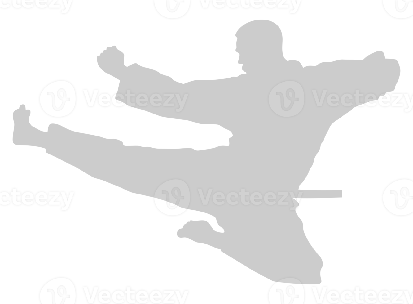 Silhouette of Martial Artist Kick, Taekwondo, Karate, Pencak Silat, Kungfu, for Logo or Graphic Design Element. Format PNG