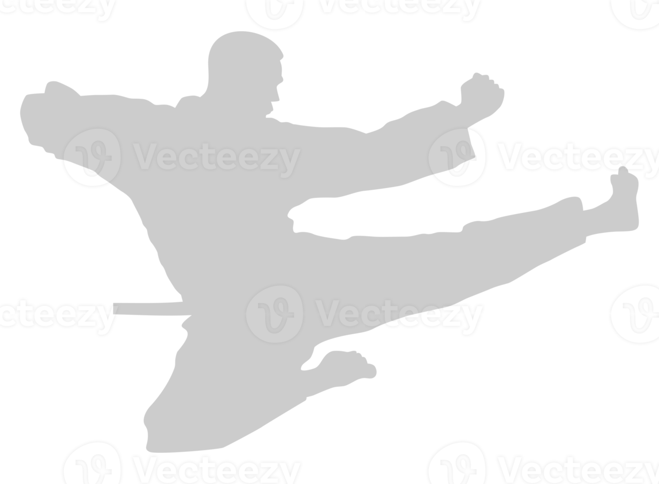 Silhouette of Martial Artist Kick, Taekwondo, Karate, Pencak Silat, Kungfu, for Logo or Graphic Design Element. Format PNG