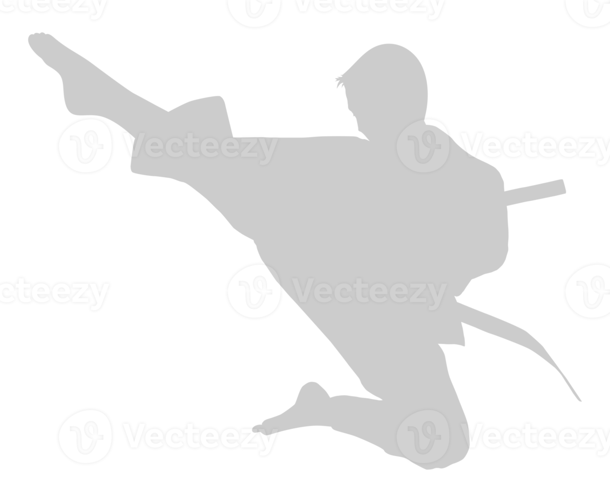 Silhouette of Martial Artist Kick, Taekwondo, Karate, Pencak Silat, Kungfu, for Logo or Graphic Design Element. Format PNG