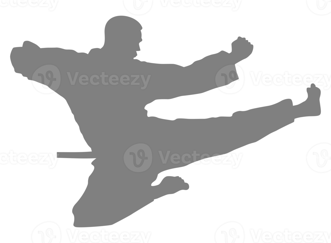 Silhouette of Martial Artist Kick, Taekwondo, Karate, Pencak Silat, Kungfu, for Logo or Graphic Design Element. Format PNG