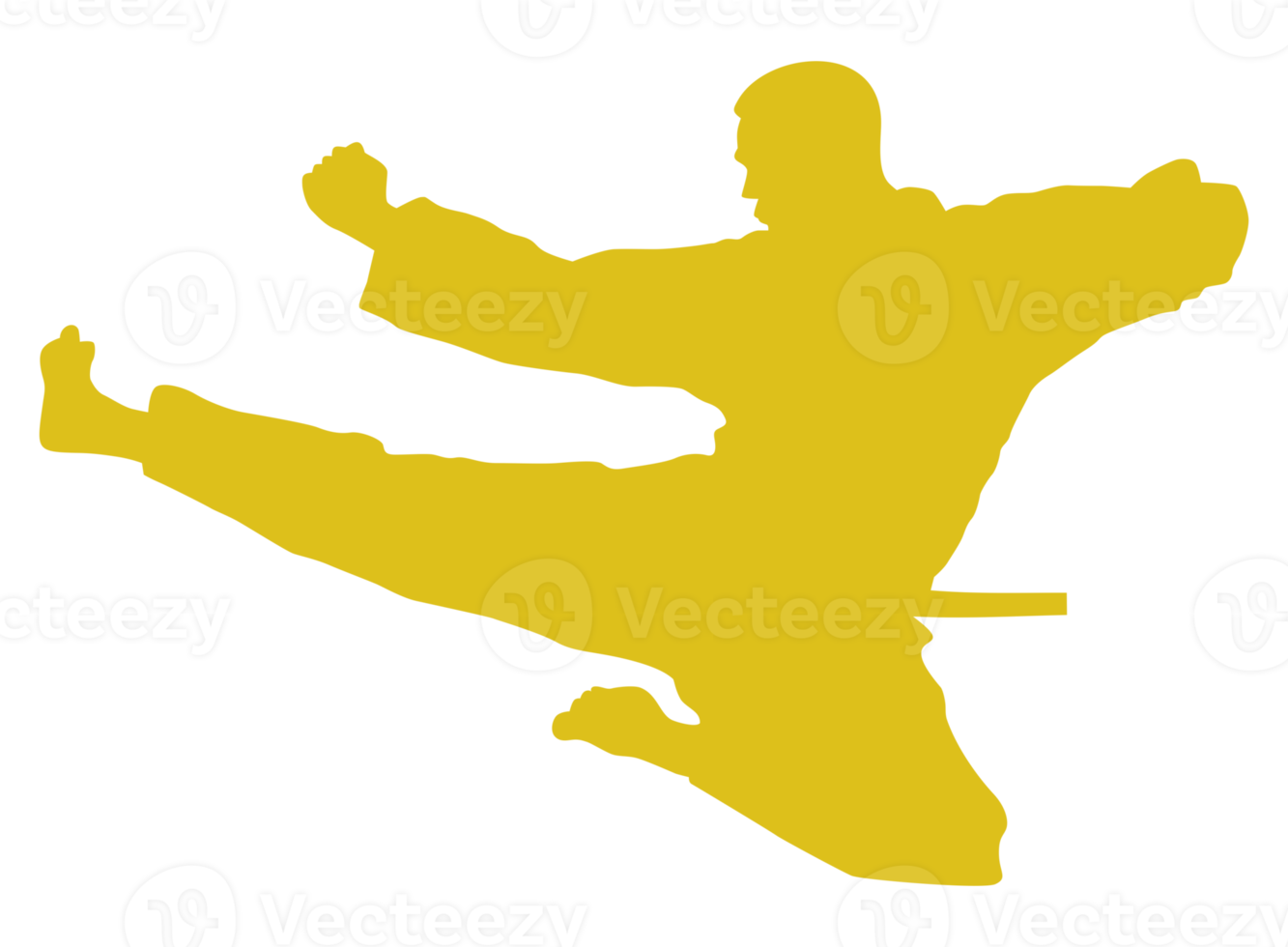 Silhouette of Martial Artist Kick, Taekwondo, Karate, Pencak Silat, Kungfu, for Logo or Graphic Design Element. Format PNG