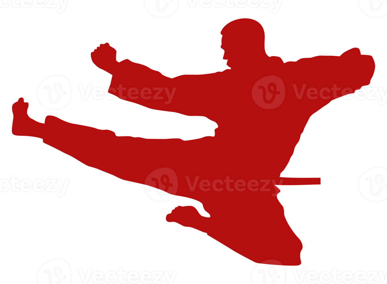 silhouette di marziale artista calcio, taekwondo, karatè, pencak sila, kungfu, per logo o grafico design elemento. formato png