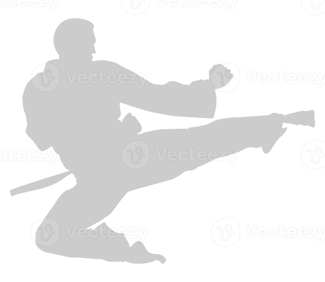 silhouet van krijgshaftig artiest trap, taekwondo, karate, pencak silaat, kungfu, voor logo of grafisch ontwerp element. formaat PNG