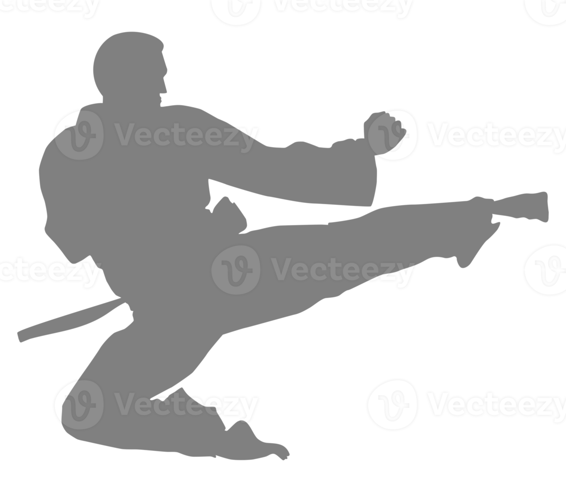 Silhouette of Martial Artist Kick, Taekwondo, Karate, Pencak Silat, Kungfu, for Logo or Graphic Design Element. Format PNG