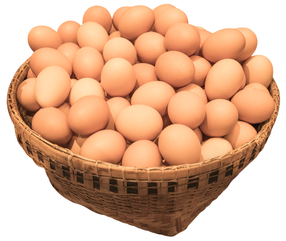 Eggs in the basket png