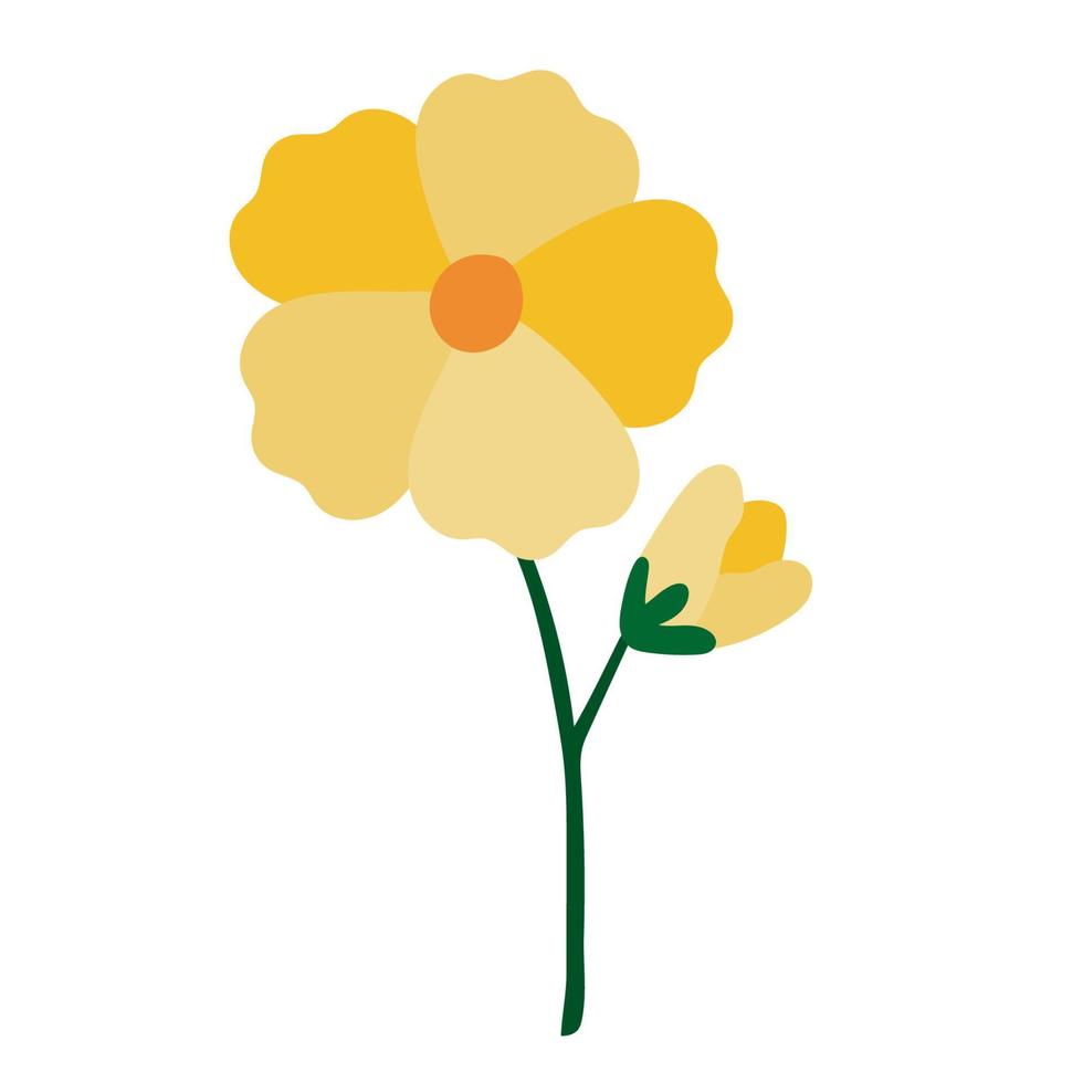 Yellow daisy or chamomile flowers with bud on white. Clipart. vector