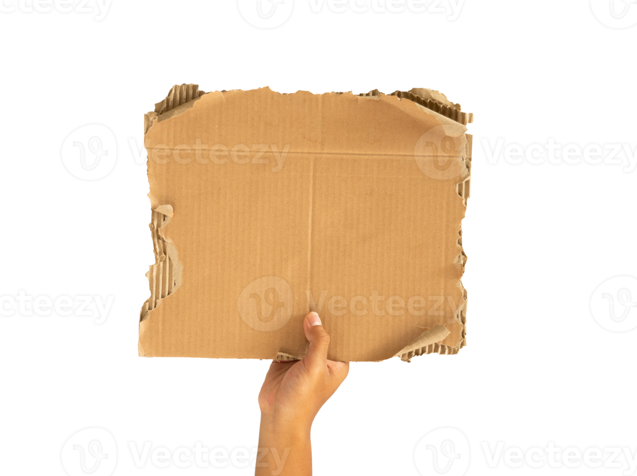 Hand holding rough torn cardboard copy space png