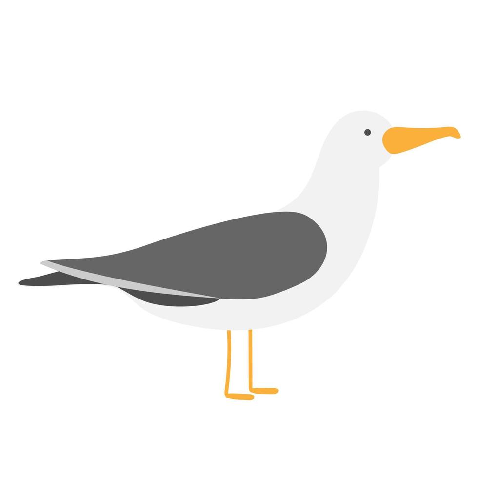 Seagull. Bird gull. Clipart on a white background. Character vector