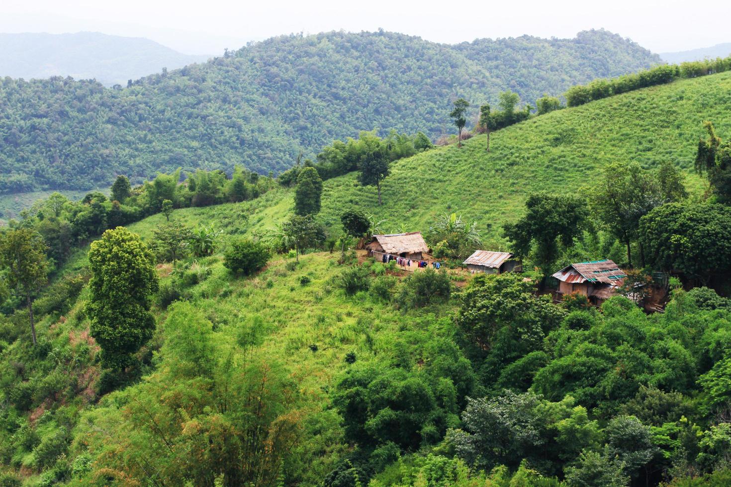 Aerial view Hill tribe village and Tea Plantation in sunrise on the mountain and forest is very beautiful view in Chiangrai Province, Thailand. photo