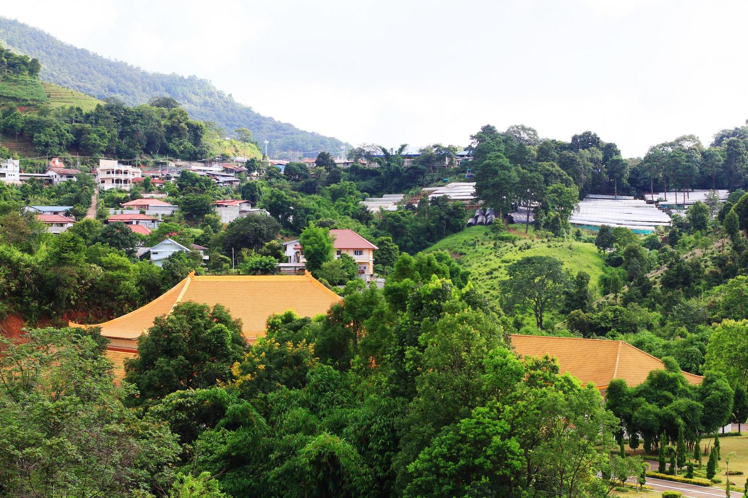 Hill tribe village and Tea Plantation in sunrise on the mountain and forest is very beautiful view in Chiangrai Province, Thailand. photo