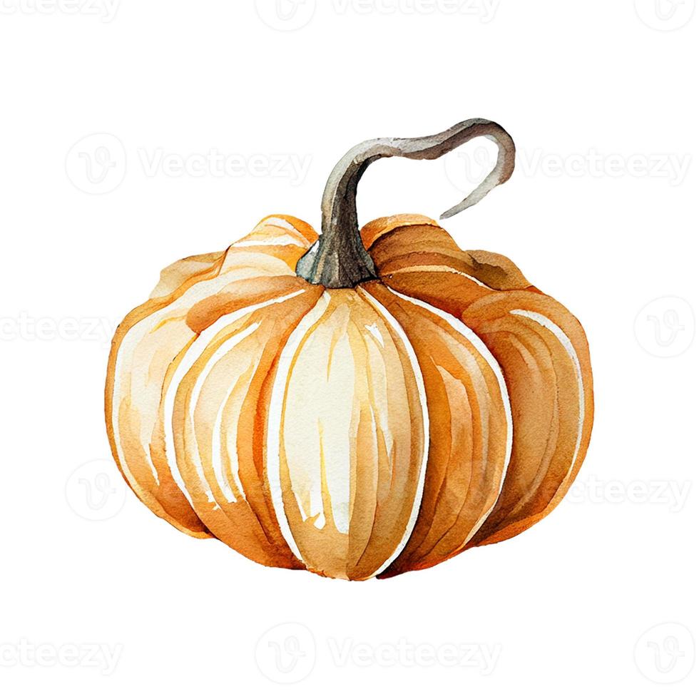 Watercolor Orange Pumpkins Illustration. Isolated object on white background. photo