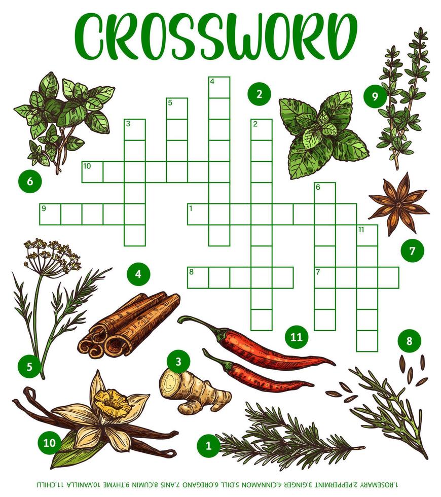 Spices, herbs or seasonings sketch, crossword grid vector