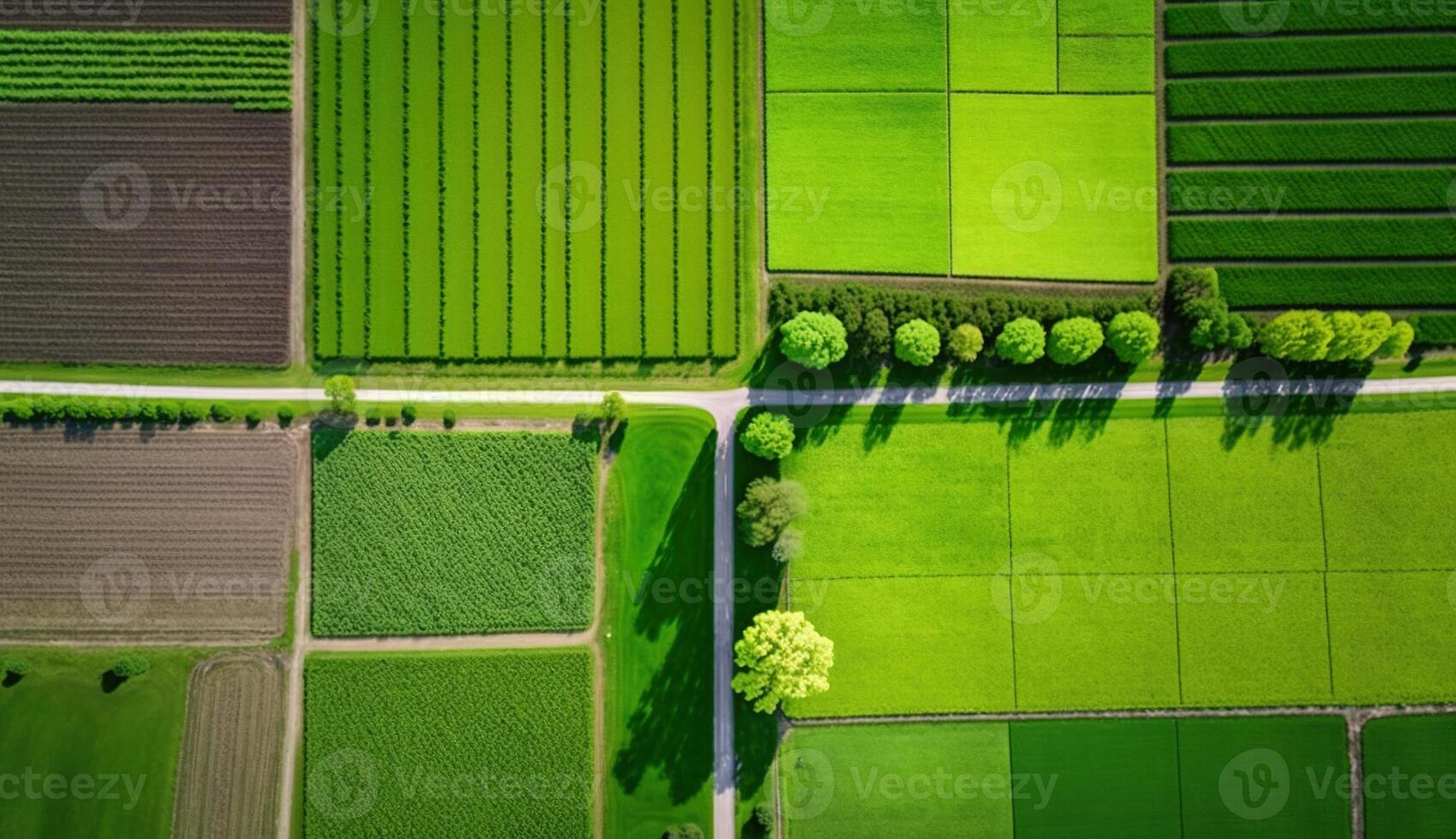 , Farm landscape, agricultural fields, beautiful countryside, country road. Nature Illustration, photorealistic top view drone, horizontal banner. photo