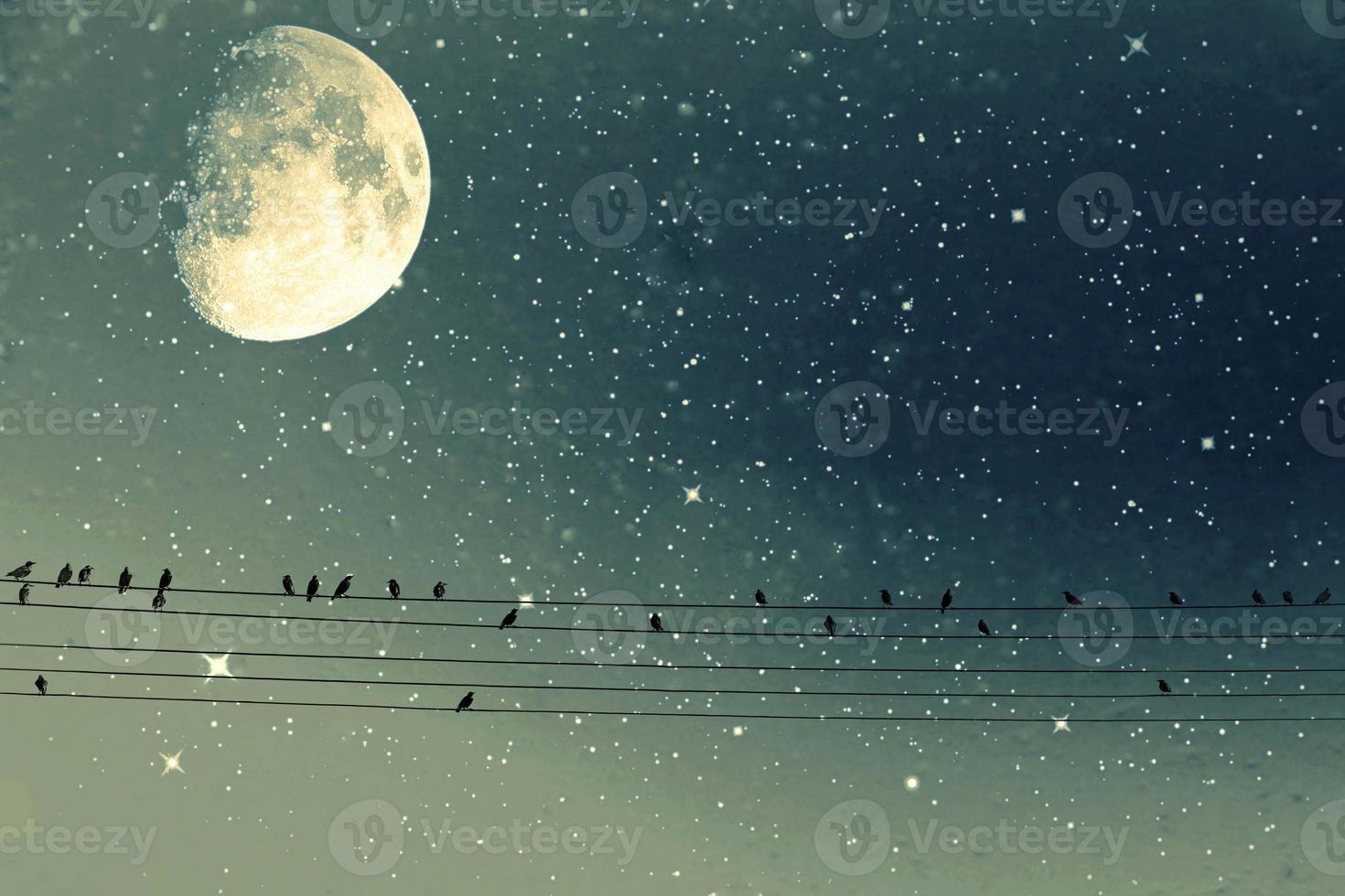 wild black big birds sitting on a high voltage line on a background of the sky with the moon photo