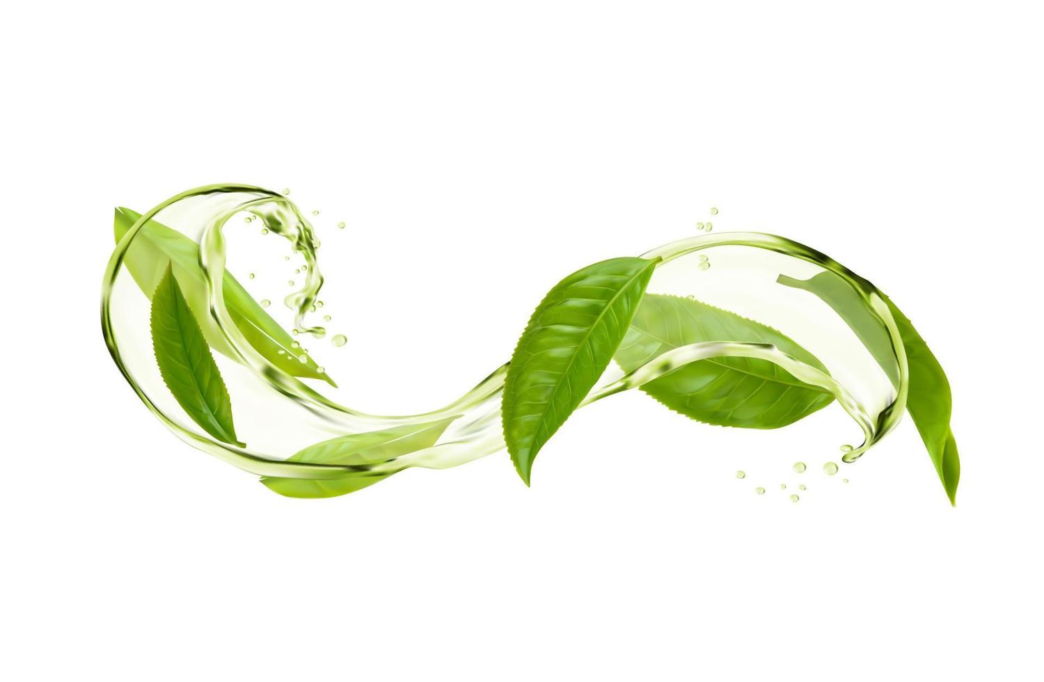 Herbal tea drink wave splash with green leaves vector