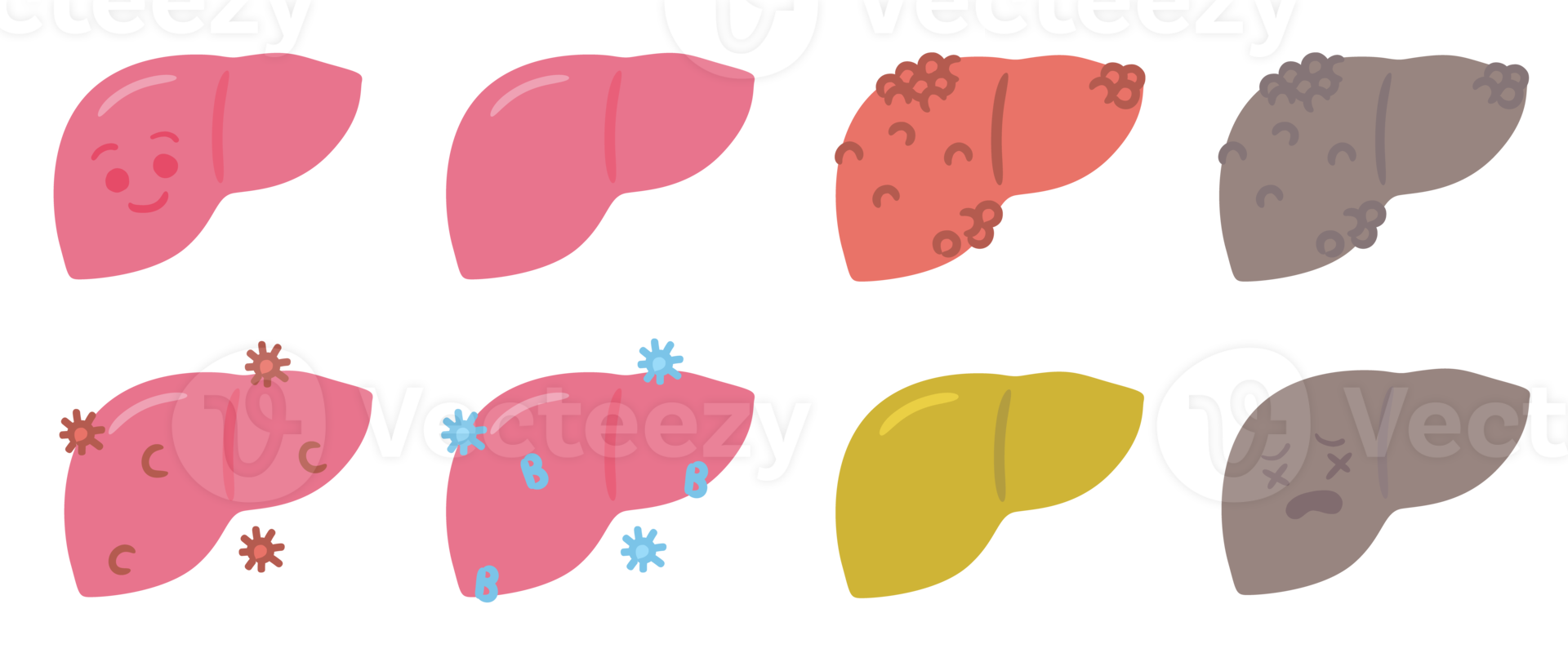 Cute Human Organ Liver Medical Anatomy Cartoon Character png