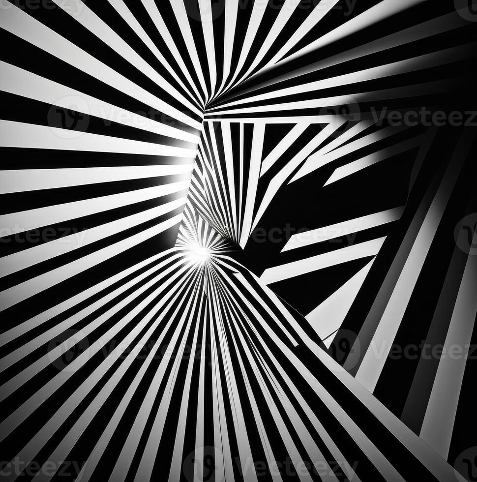 Black and white stripes. photo