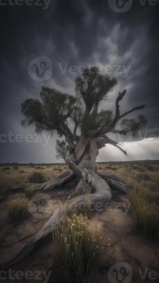 un árbol con oscuro cielo en Australia paisaje fotografía generativo ai foto