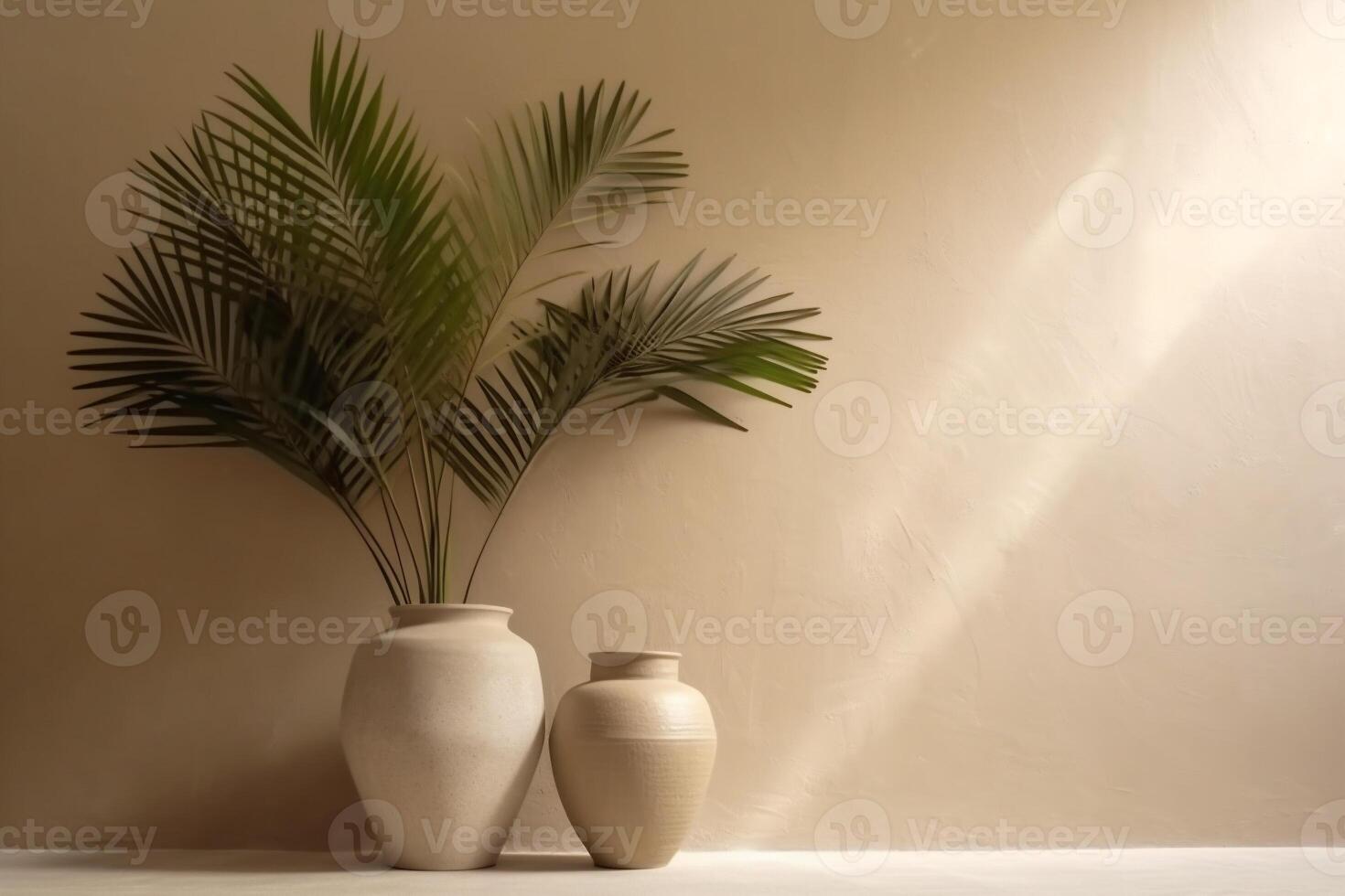 indoor view with pots and palm leaves photo