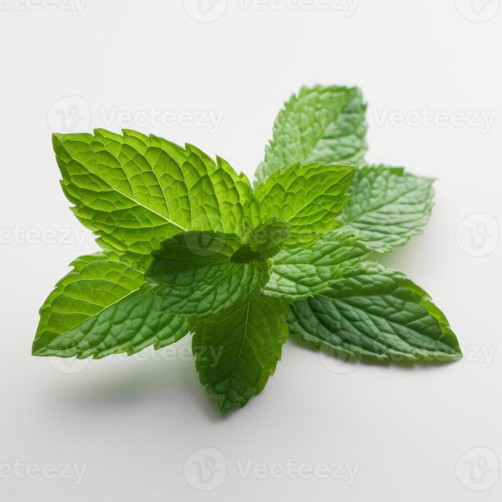 un elegante composición de un soltero Fresco menta hoja en blanco antecedentes generativo ai foto