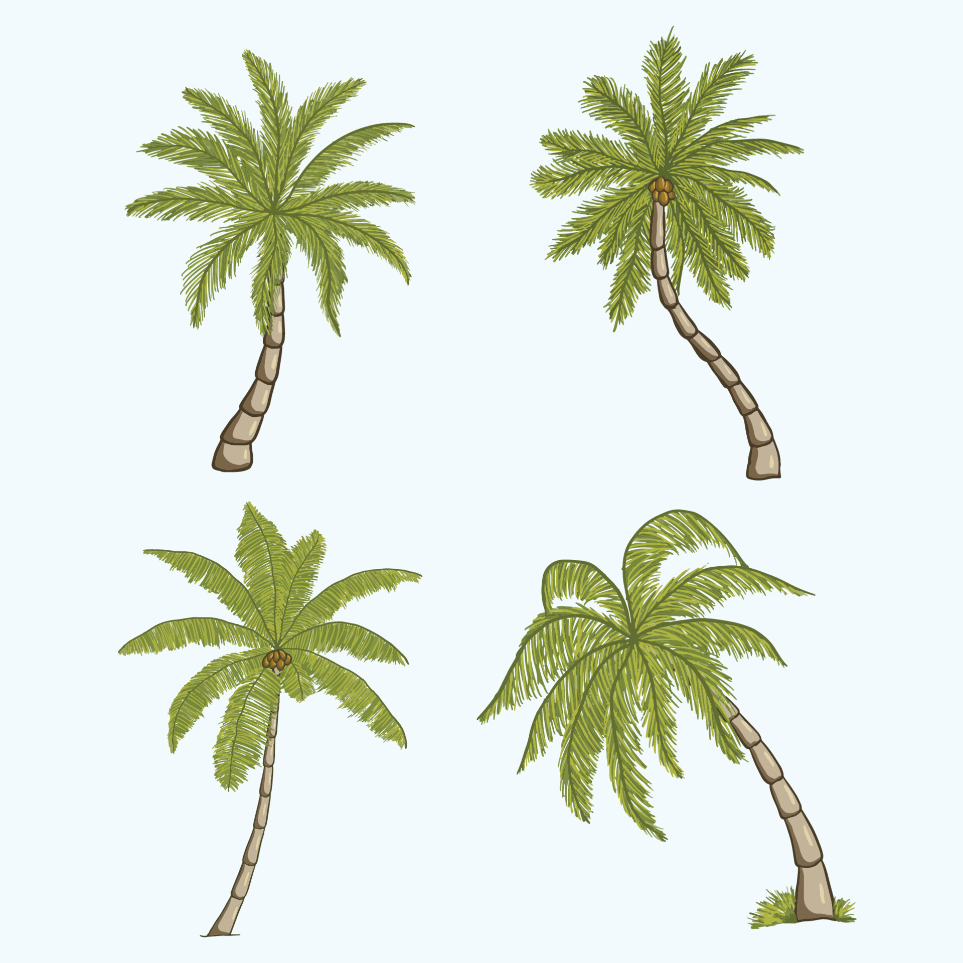 palm trees Vector illustration. hand drawn palm tree. tropical coconut