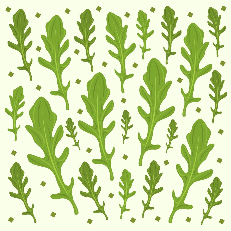 Arugula vector illustration for graphic design and decorative element