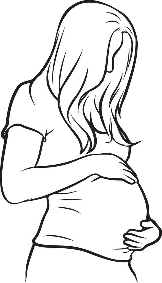 Pregnant Woman Line Drawing. vector